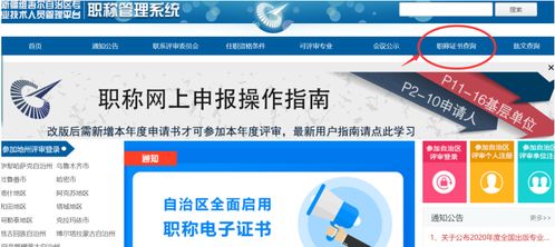 电子商务专业职称评定
