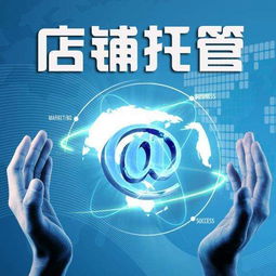 专业电子商务哪家靠谱