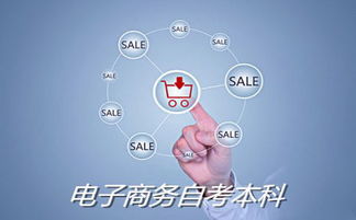电子商务跨专业自考本科