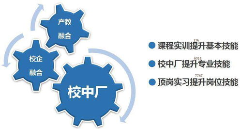 电子商务专业发展阶段