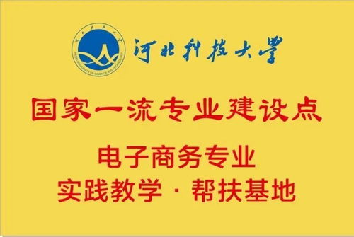 电子商务对接本科什么专业