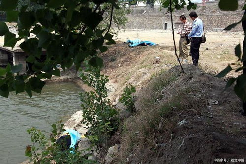 24岁网红马章浩意外落水溺亡，生命的脆弱与警示