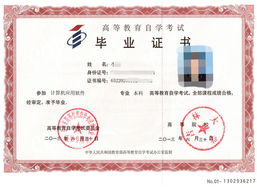成人自考报电子商务专业