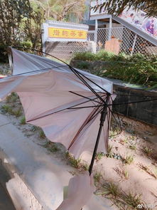 大风天气网友家房顶被吹飞了