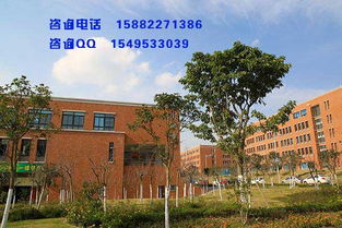 成都电子商务专业考公