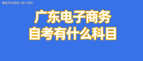 自学考电子商务专业