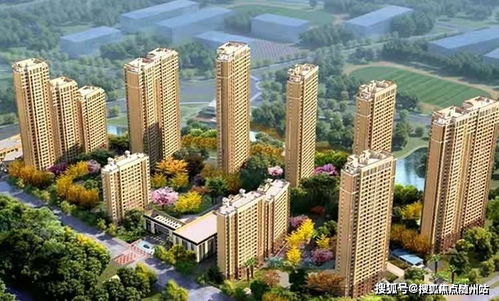 深圳专业电子商务回收价