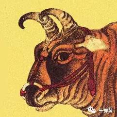 牛弹琴：特朗普政府退缩让人哭笑不得