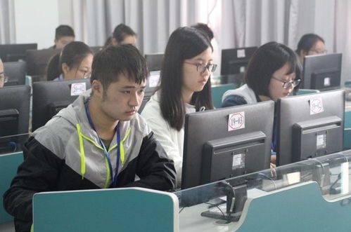 专科电子商务专业考公
