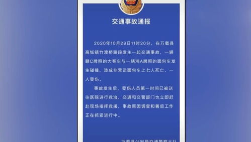 老人被发狂黄牛顶撞后去世