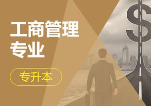 大专学历考电子商务专业