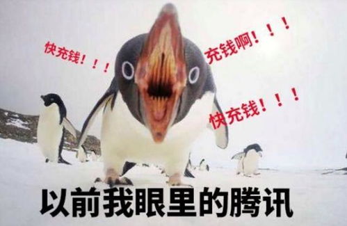 英勇男子为救自家大鹅，舍身跳入15米深坑，谱写感人生命救援传奇