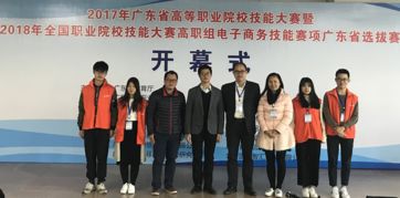电子商务专业最高职业