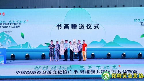 三河绿招牌报告，领导审定后的绿色发展新篇章