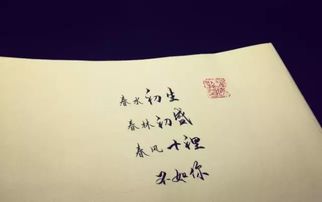 美国折腾一周不如周末的风动静大