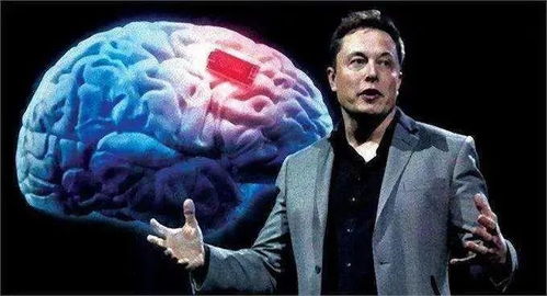 外媒质疑，哪来的自信幻想中国人会跪？
