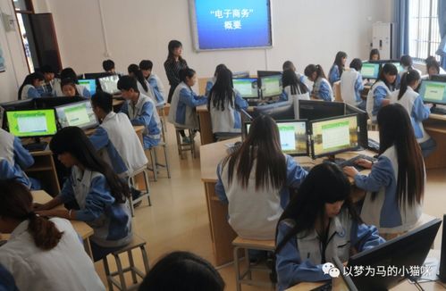 农大有电子商务专业吗