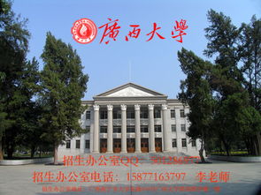 莱西电子商务专业的大学