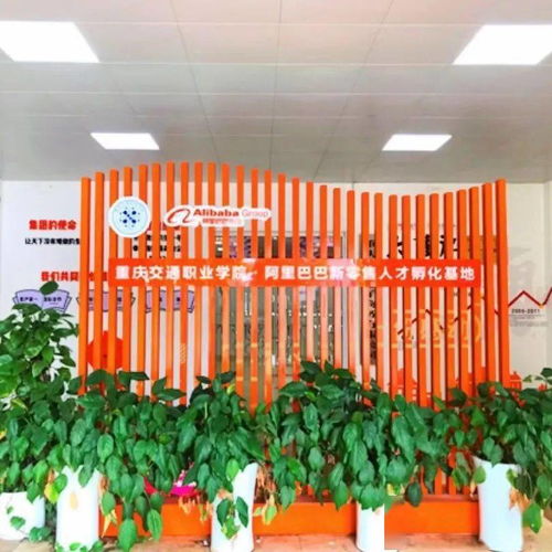 电子商务专业方阵有哪些