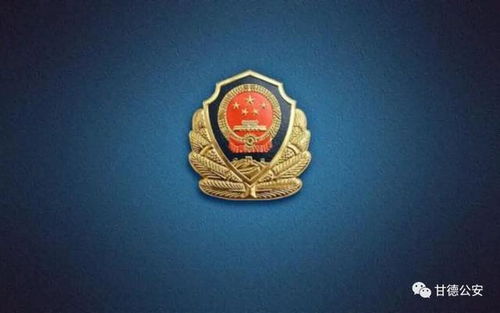 三河公安局警徽被改色事件引发关注，当地政府拒回应