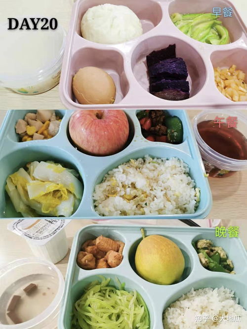 女子遵循卫健委食谱，五天瘦身八斤的惊喜之旅