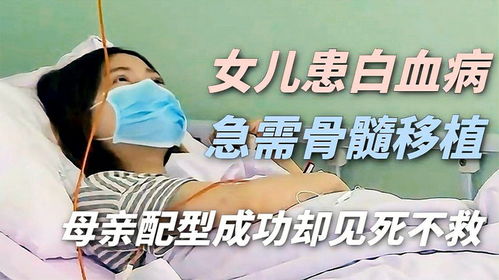 24岁白血病女孩的悲歌，生命的消逝与爱情的挣扎