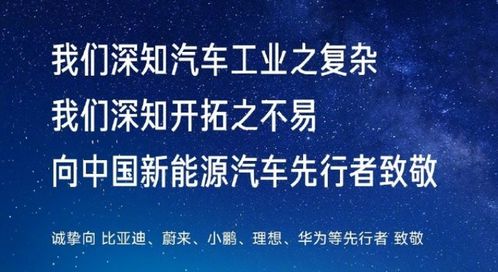 SU7坠崖车主发文感谢雷军，科技的力量让我重获新生