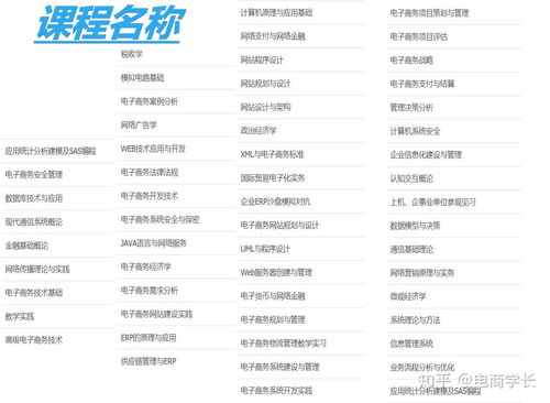 电子商务专科选什么专业