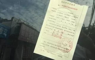 荒地停车遭罚单，男子疑云待解 官方权威回应