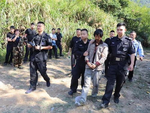 警方通报浙江队外援坠亡：排除刑案