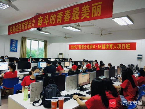 珠海电子商务专业找工作