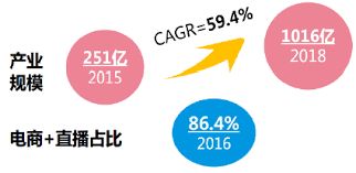 电子商务专业必须直播吗