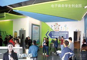 大专电子商务运营专业