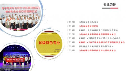 专业电子商务批发价
