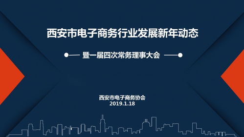 电子商务专业用编程吗