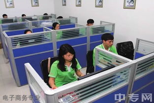 专科电子商务专业的工作
