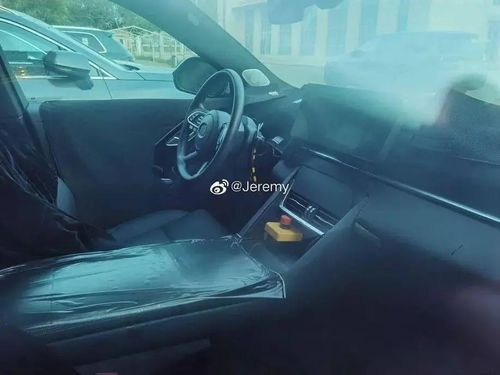 一理想在车外被语音唤醒开门遭泼水