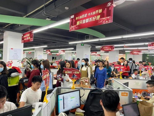 电子商务专业双十一简讯