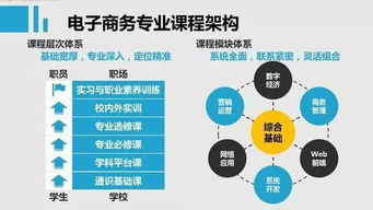 电子商务专业考哪些课程