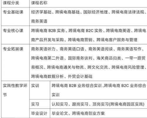 跨境电子商务专业要干嘛