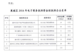 惠城的电子商务专业