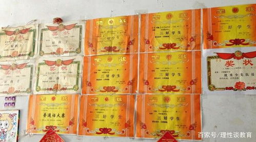 网红小狗毛毛离世，无数网友泪别摘橙子的快乐使者