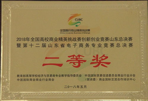 山东电子商务专业知识