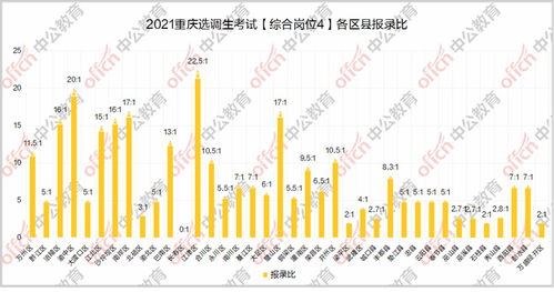 选调生电子商务专业