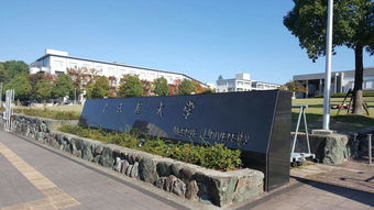 日本电子商务专业大学