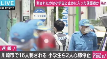 日本多地发生无差别杀人事件