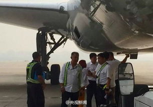 美退伍军人劫持客机悲剧落幕，持枪乘客英勇反击，劫机者被击毙