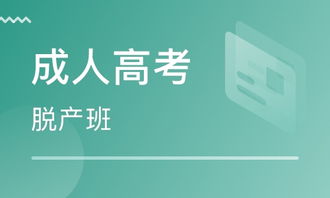 深圳一程序员选择不租房睡车里，生活与选择的对话