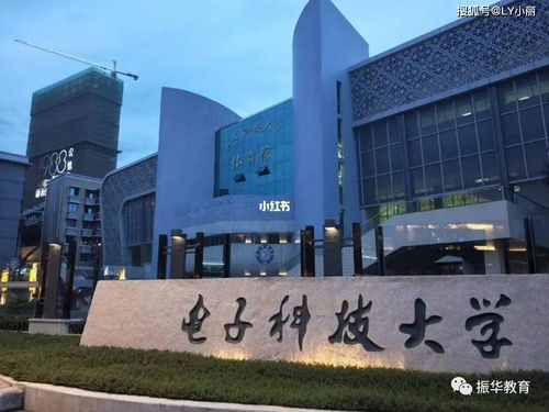 塔大有电子商务专业吗