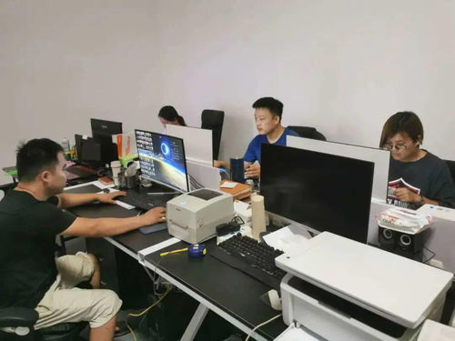 有关电子商务专业的工作
